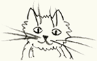 gato
