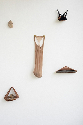 figura-11-ivana-salfity